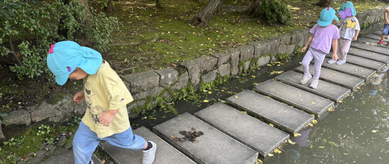 24-10-09-17-25-16-661_deco