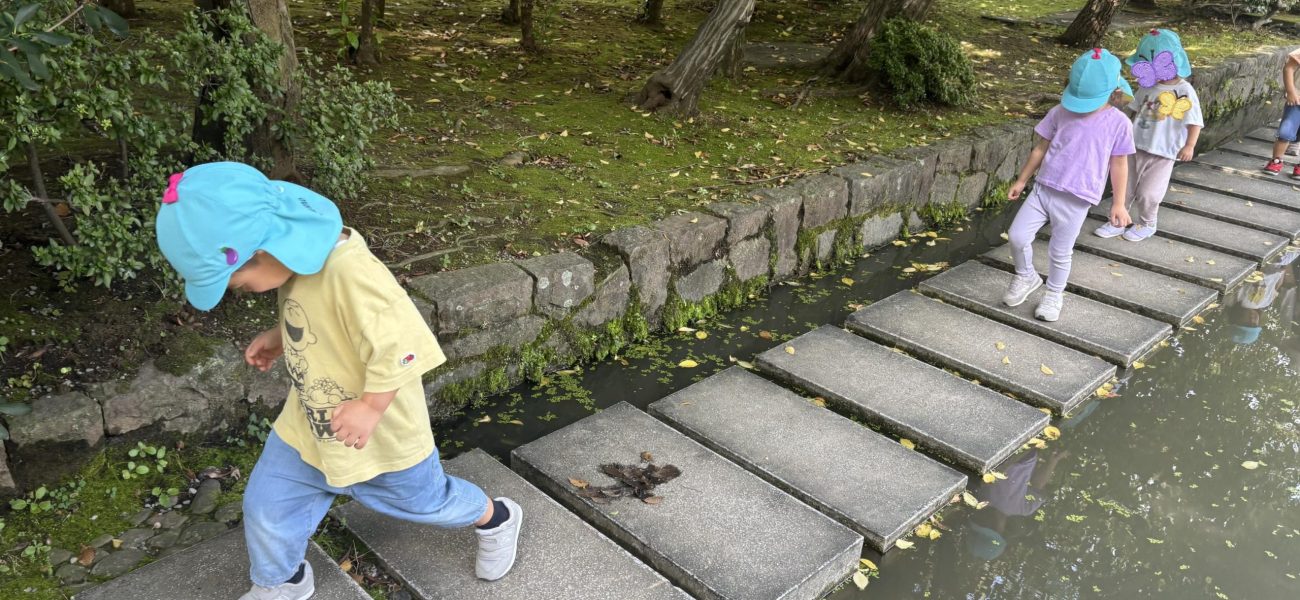 24-10-09-17-25-16-661_deco